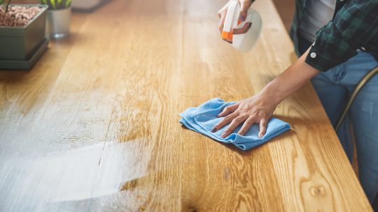 Domestic Cleaning Wimbledon – Services Provided