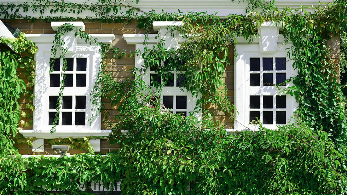 Elevating Home Comfort and Energy Efficiency with Double Glazing Sash Windows in North London