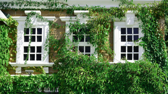 Elevating Home Comfort and Energy Efficiency with Double Glazing Sash Windows in North London